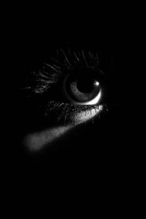 ปกนิยาย The hunter project