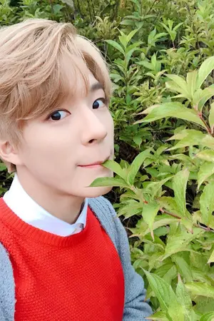 ปกนิยาย [NCT] os/sf #เมี๊ยวครับ [RENNO]