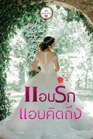 ปกนิยาย