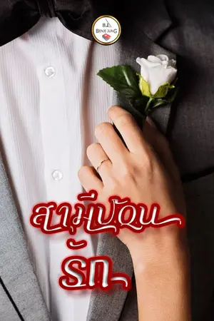 ปกนิยาย สามีป้อนรัก (จบแล้ว)