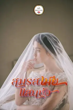 ปกนิยาย สมรสเมียแสนชัง (จบแล้ว)