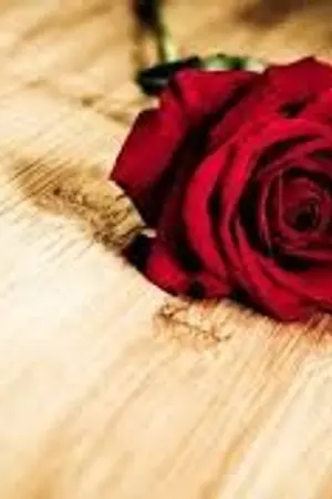 ปกนิยาย ครั้งเเรกที่เคยรัก...