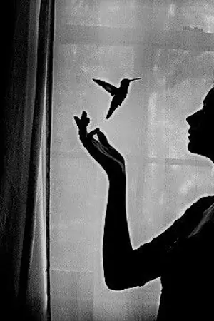 ปกนิยาย เงากุกวี