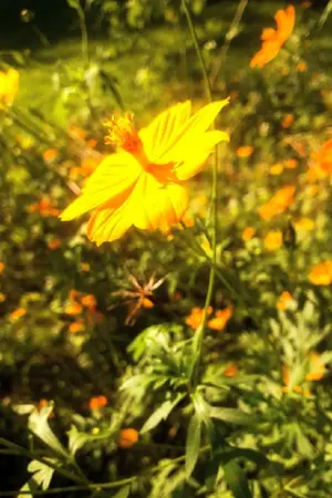 ปกนิยาย ย้อนเวลากับระบบผู้ช่วยเหลือ[BL]