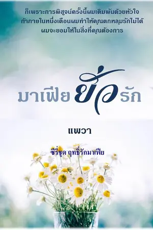 ปกนิยาย