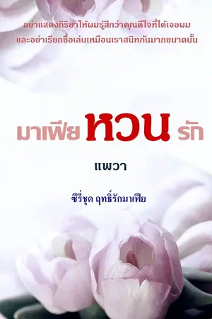 ปกนิยาย