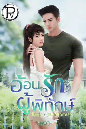 ปกนิยาย