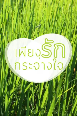 ปกนิยาย เพียงรักกระจ่างใจ