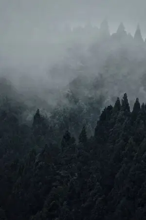 ปกนิยาย ⚡HARRY POTTER⚡ [TMR/HP]