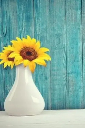 ปกนิยาย [ HOLOLIVE ] #เฟื่อน