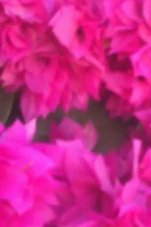 ปกนิยาย รักสุดใจยัยป้าร้านขายดอกไม้