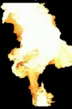 ปกนิยาย ดอกฟ้าที่หมายฟัด