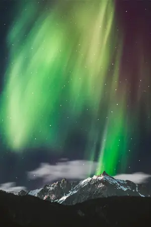 ปกนิยาย สายหมอกที่แสงเหนือ