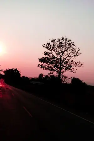 ปกนิยาย คิดถึงอัสดง