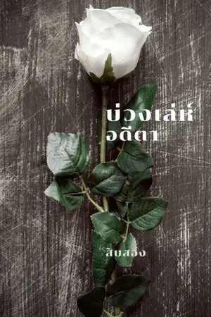 ปกนิยาย