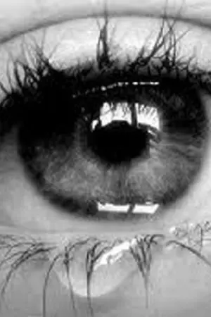 ปกนิยาย เเฝดร้าย