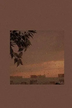 ปกนิยาย MY tree :)