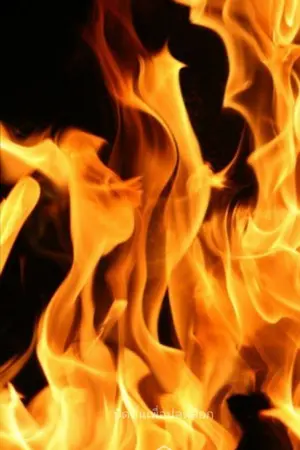 ปกนิยาย fic kimetsu no yaiba (kny) (oc) มาทะลุมิติไปช่วยทุกคนกัน!