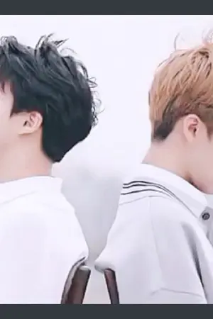 ปกนิยาย จม #nomin