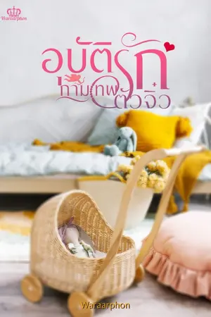 ปกนิยาย