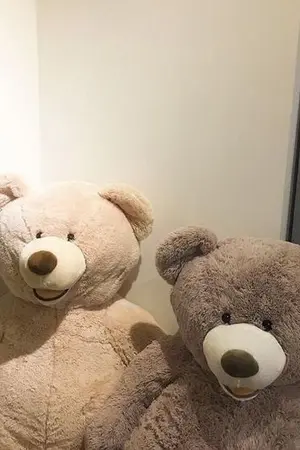 ปกนิยาย วันอังคารที่