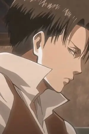 ปกนิยาย Dream of love ความรักดั่งความฝันที่ยังรู้สึก //Attack on titan [Levi Ackerman x oc]