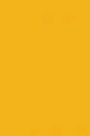 ปกนิยาย แนะนำนิยายวายตามใจ