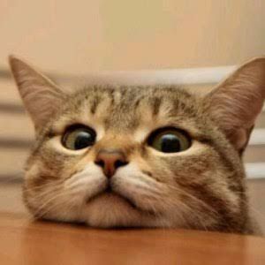 จะเอาตอนพิเศษปีใหม่ไหมนะ