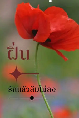 ปกนิยาย ฝิ่น  เสพติดรัก