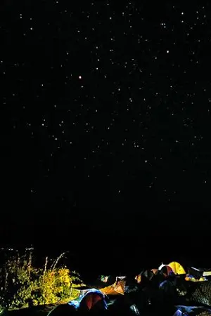 ปกนิยาย บังเกิดรัก