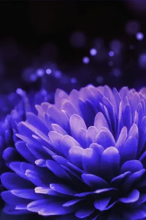 ปกนิยาย Certain Dark Things ( GOT 7 Mafia AU )