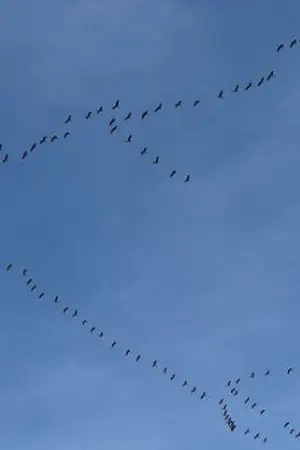 ปกนิยาย ผมก็เป็นแค่ user ธรรมดาครับ