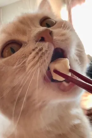 ปกนิยาย 92 kilograms #จีบก่อนไว้ผอมทีหลัง [Yaoi - Boyslove]