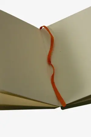 ปกนิยาย เรื่องราวของผู้มีหน้าที่เป็น “ผู้ช่วย”