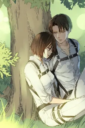 ปกนิยาย Fc ผ่าพิภกไททัน รักน่ะพี่ชายเย็นชา (มิคาสะ×รีไวล์)