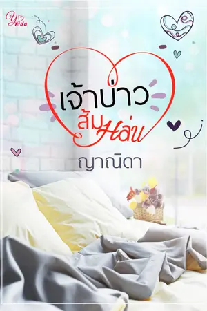 ปกนิยาย