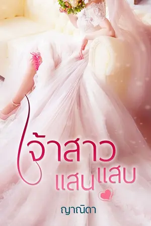 ปกนิยาย