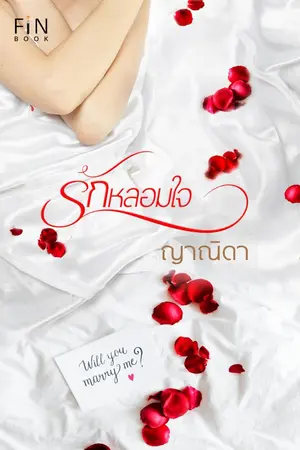 ปกนิยาย