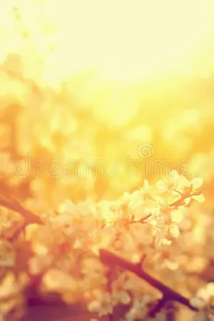 ปกนิยาย BELIA (บีเลีย) #บลนบ