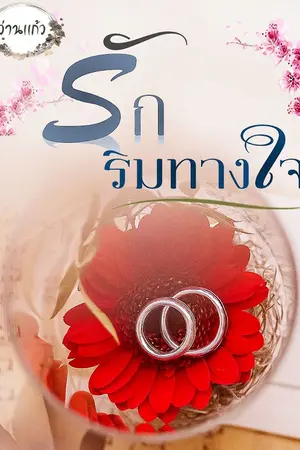 ปกนิยาย