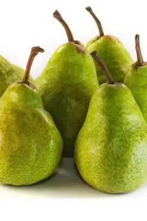 ปกนิยาย It’s started from that night