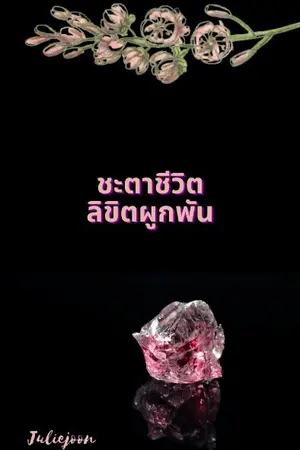 ปกนิยาย (END) ชะตาชีวิต ลิขิตผูกพัน