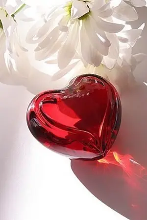 ปกนิยาย เก็บหัวใจไว้ในจดหมายรัก