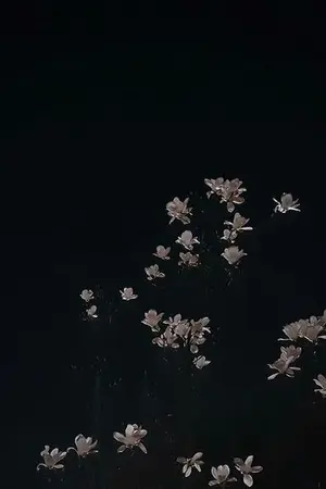 ปกนิยาย #จันทร์เคียงคืน (yaoi) -chanbaek