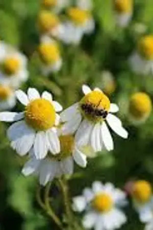 ปกนิยาย กาลครั้งนั้น…