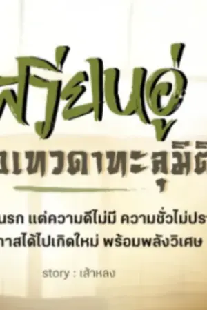 ปกนิยาย