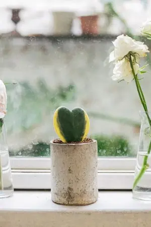 ปกนิยาย Hi Memories สวัสดีความทรงจำ