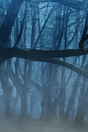 ปกนิยาย ทัวร์ในป่า