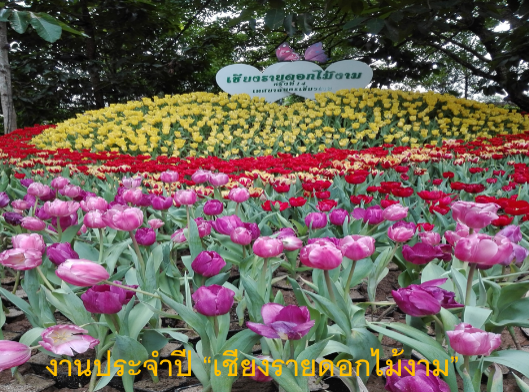 https://image.dek-d.com/27/0745/6517/127383969