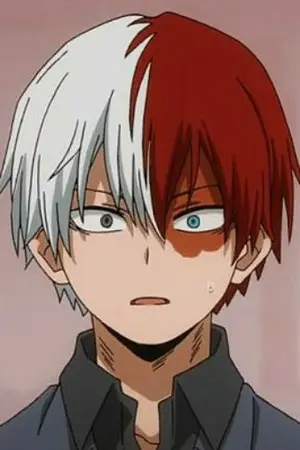 ปกนิยาย [Fic BNHA]​ Shouto?? ผมเองเเหละ
